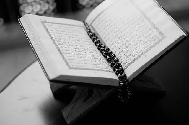 من جمع القرآن