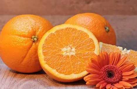 أنواع البرتقال وفوائده
