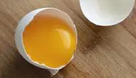 ما هي مكونات البيضة