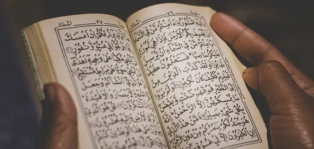 كم عدد سور القرآن الكريم