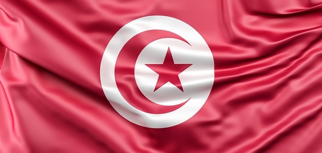 معلومات عن دولة تونس