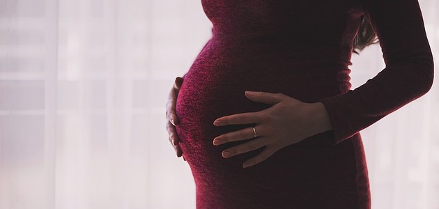 الخرشوف للحامل والجسم