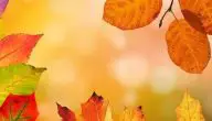 عبارات عن وصف الخريف