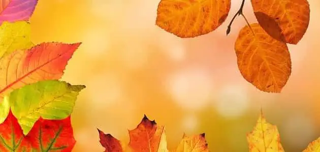 عبارات عن وصف الخريف